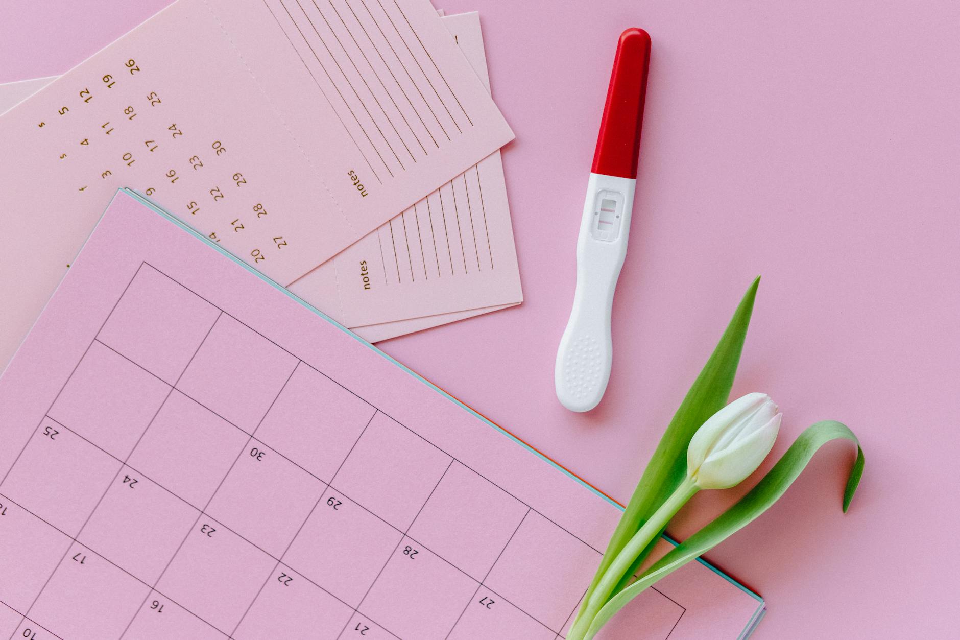 Pink calendar pages, note cards, a home pregnancy test and a white tulip on a pink surface