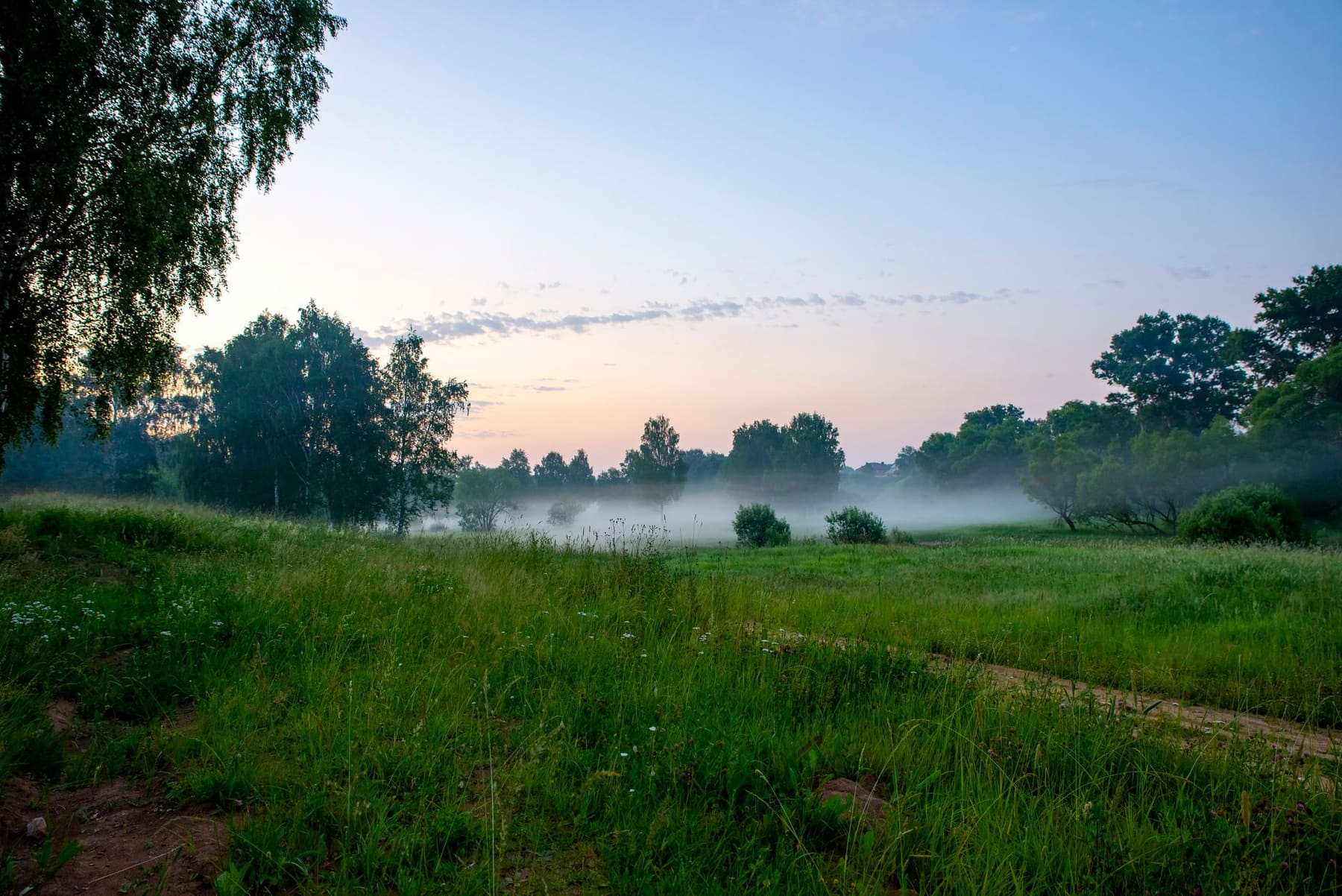 A calm, bright scene with soft natural light