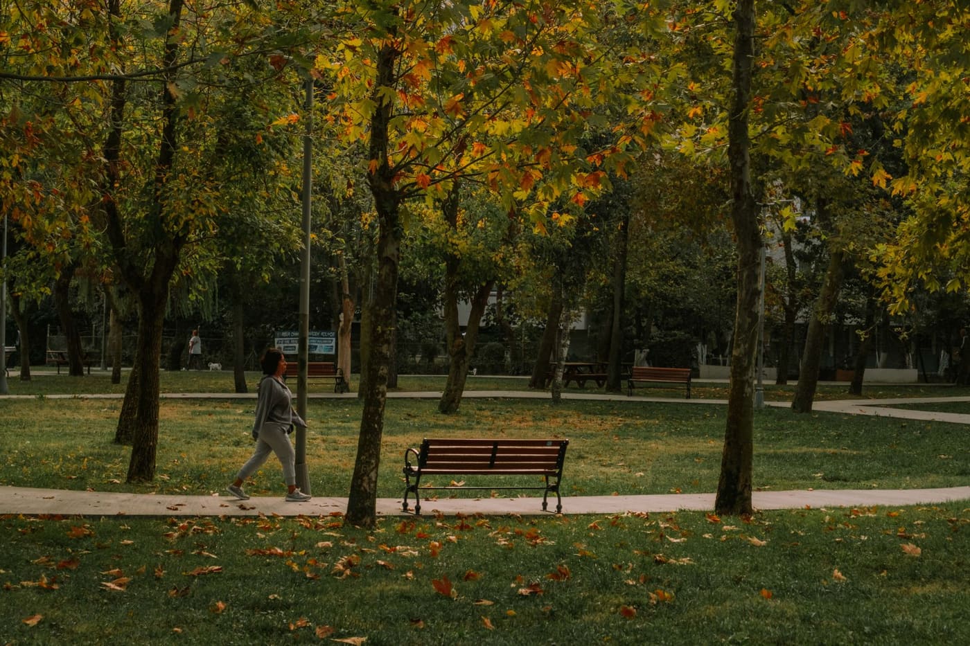 A woman walking along a tree-lined path with autumn leaves